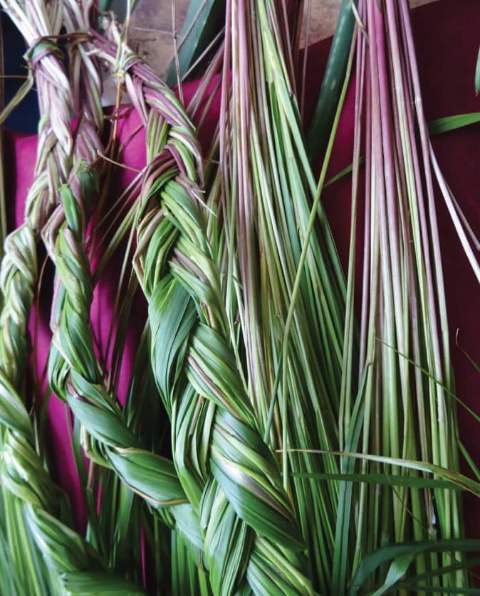 sweetgrass